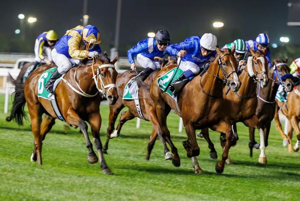 dubai world cup tips